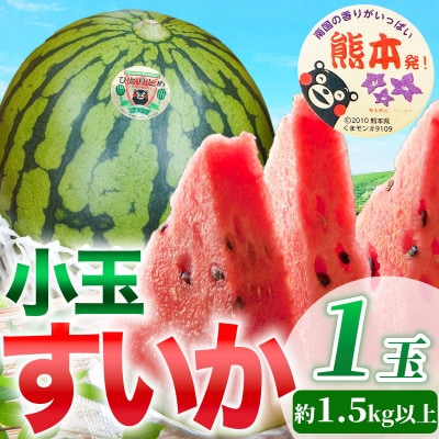 小玉すいか 1玉入り 3Lサイズ 約1.5kg以上(益城町)