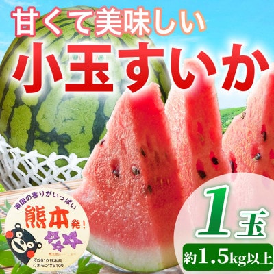 小玉すいか 1玉入り 約1.5kg以上(益城町)