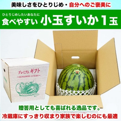 小玉すいか 1玉入り 約1.5kg以上(益城町)