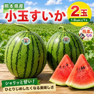 小玉すいか 2玉入り 3Lサイズ 約3kg以上(益城町)