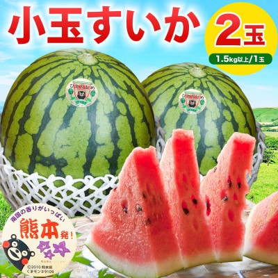 小玉すいか 2玉入り 3Lサイズ 約3kg以上(益城町)