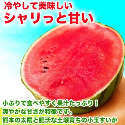 小玉すいか 2玉入り 3Lサイズ 約3kg以上(益城町)