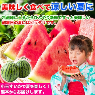 小玉すいか 2玉入り 3Lサイズ 約3kg以上(益城町)