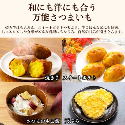 紅はるか 約5kg(9～38個)(益城町)