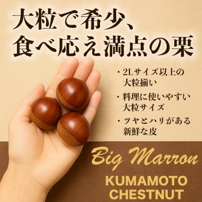 生栗 大粒 2L以上 約2kg(益城町)