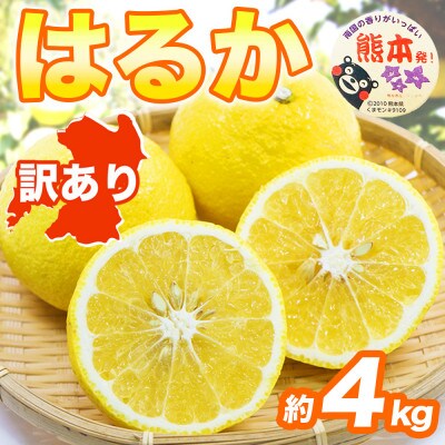 はるか みかん 訳あり 約4kg(益城町)