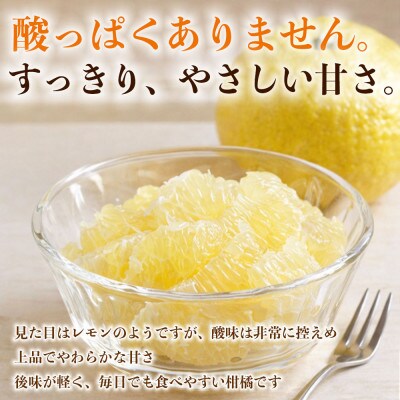 はるか みかん 訳あり 約4kg(益城町)