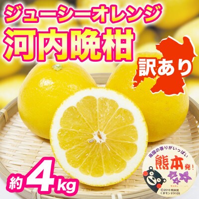 河内晩柑(ジューシーオレンジ)みかん 訳あり 約4kg(益城町)