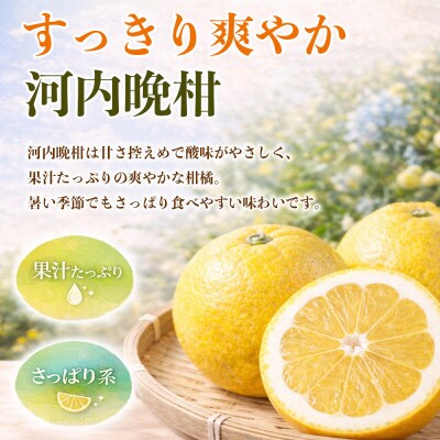 河内晩柑(ジューシーオレンジ)みかん 訳あり 約4kg(益城町)