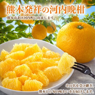 河内晩柑(ジューシーオレンジ)みかん 訳あり 約4kg(益城町)