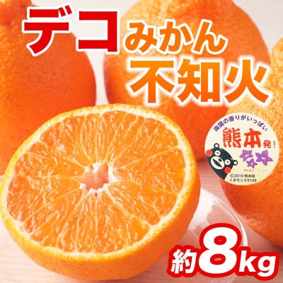 不知火 デコみかん(デコポンと同品種)18～37玉 約8kg(益城町)