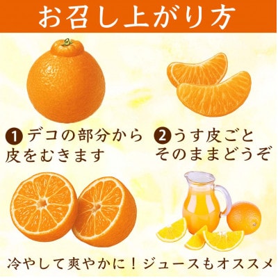 不知火 デコみかん(デコポンと同品種)18～37玉 約8kg(益城町)