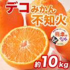不知火 デコみかん(デコポンと同品種)24～48玉 約10kg(益城町)
