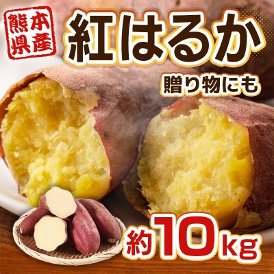 熊本県産 さつまいも 紅はるか 10kg(益城町)