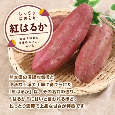 訳あり 熊本県産 さつまいも 紅はるか 5kg(益城町)