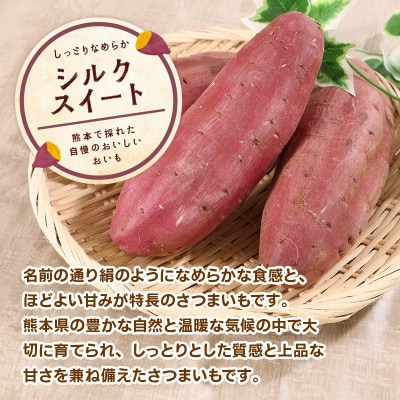 訳あり 熊本県産 さつまいも シルクスイート 約5kg(益城町)