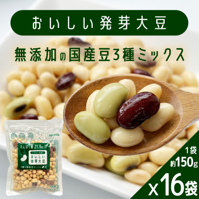 おいしい発芽大豆 150g×16袋(2.4kg)　国産豆100%　無添加　たんぱく質　食物繊維