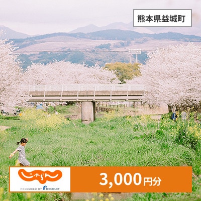 【じゃらんふるさと納税クーポン】 熊本県益城町でつかえる3,000円 クーポン