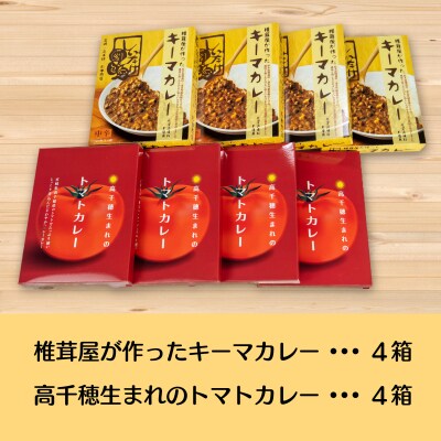 高千穂の食材カレーセット