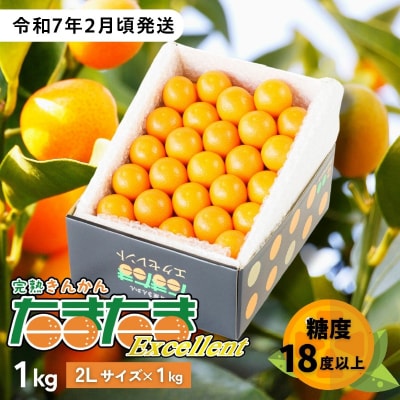 完熟きんかん たまたまエクセレント 1kg