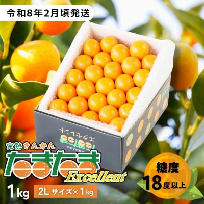 完熟きんかん たまたまエクセレント 1kg