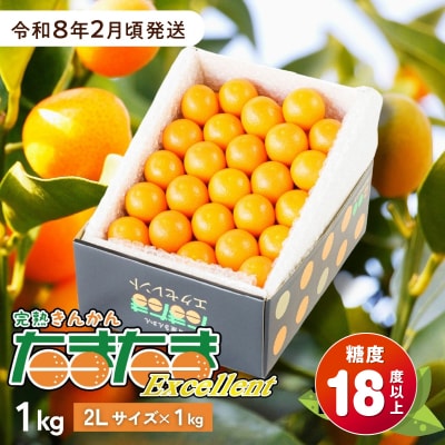 完熟きんかん たまたまエクセレント 1kg