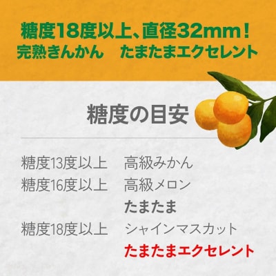 完熟きんかん たまたまエクセレント 1kg
