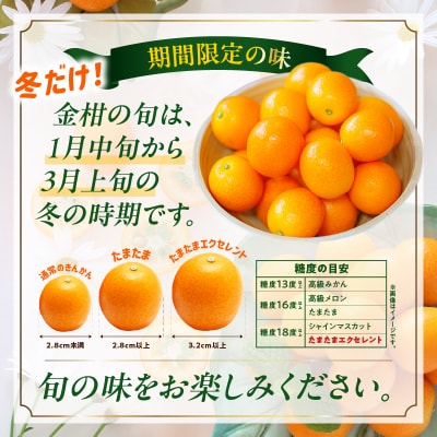 完熟きんかん たまたまエクセレント 1kg