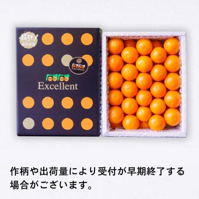 完熟きんかん たまたまエクセレント 1kg