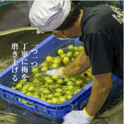 熟成梅酒&日向夏みかん酒セット