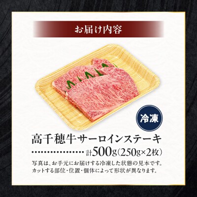 宮崎県産黒毛和牛A4等級以上 高千穂牛サーロインステーキ 250g×2枚 計500g