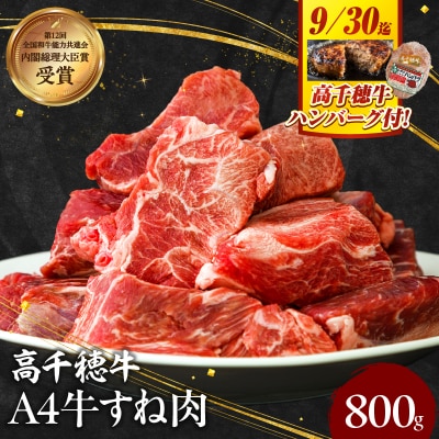 【期間限定】宮崎県産黒毛和牛A4等級以上 高千穂牛すね肉800g + 高千穂牛100%ハンバーグ1個