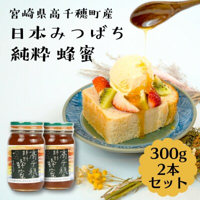 日本みつばち 高千穂の純粋蜂蜜 300g×2本 セット