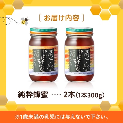 日本みつばち 高千穂の純粋蜂蜜 300g×2本 セット