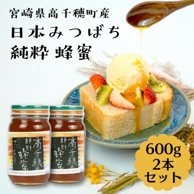 日本みつばち 高千穂の純粋蜂蜜 600g×2本 セット | お礼品詳細 ...