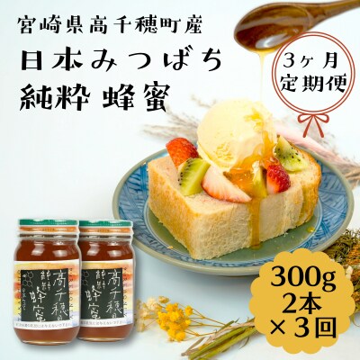 日本蜜蜂 純正ハチミツ 宮崎産  600g×2 得割セット生ハチミツ