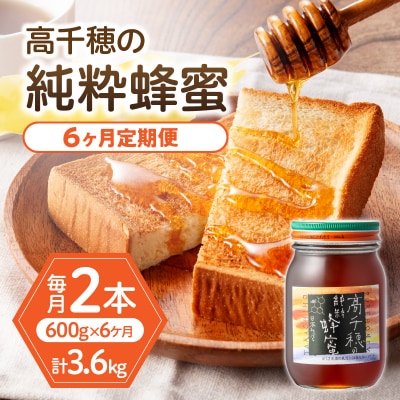 【6ヶ月定期便】日本みつばち 高千穂の純粋蜂蜜 300g×2本 セット