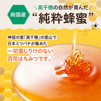 【6ヶ月定期便】日本みつばち 高千穂の純粋蜂蜜 300g×2本 セット