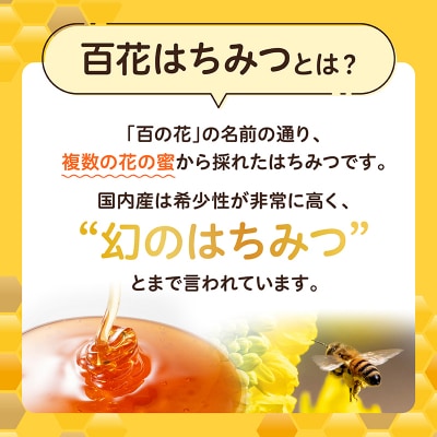 【6ヶ月定期便】日本みつばち 高千穂の純粋蜂蜜 300g×2本 セット
