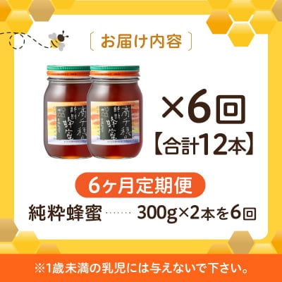【6ヶ月定期便】日本みつばち 高千穂の純粋蜂蜜 300g×2本 セット