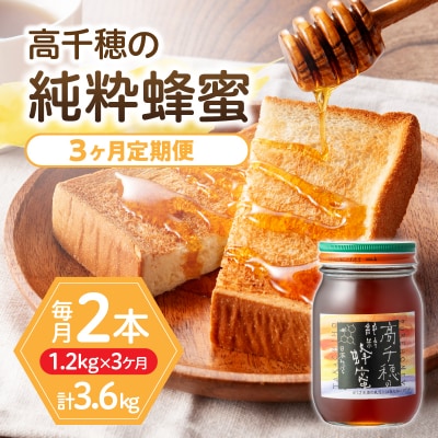  【3ヶ月定期便】日本みつばち 高千穂の純粋蜂蜜 600g×2本 セット