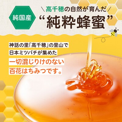  【3ヶ月定期便】日本みつばち 高千穂の純粋蜂蜜 600g×2本 セット