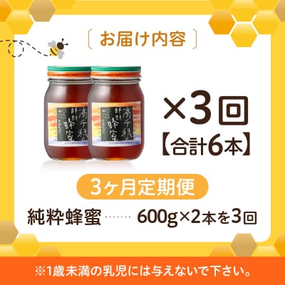  【3ヶ月定期便】日本みつばち 高千穂の純粋蜂蜜 600g×2本 セット
