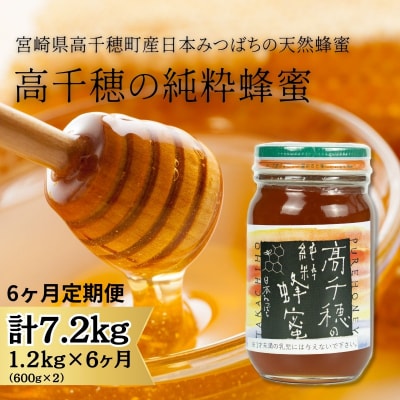 日本蜜蜂 純正ハチミツ 宮崎産 600g×2 得割セット 【公式通販】