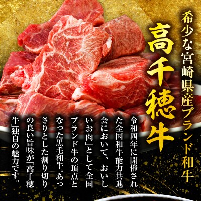 【3ヶ月定期便】 高千穂牛 すね肉 400g×2パック×3回 和牛