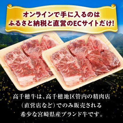 【3ヶ月定期便】 高千穂牛 すね肉 400g×2パック×3回 和牛
