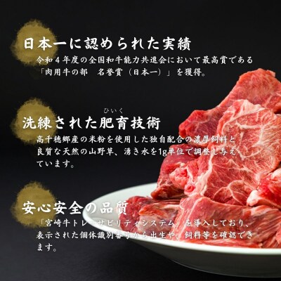 【12ヶ月定期便】 高千穂牛 すね肉 400g×2パック×12回