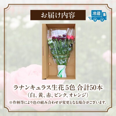 ラナンキュラス(2月限定)