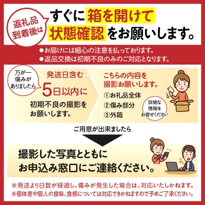 スイートピー(2月限定)