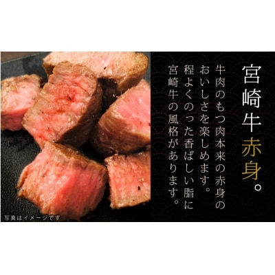 宮崎牛 赤身ステーキ200g 万能だれ付き